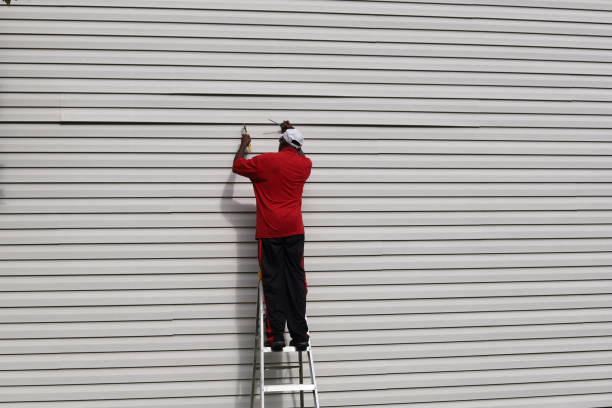 Best Insulated Siding Installation  in Manchester, MI